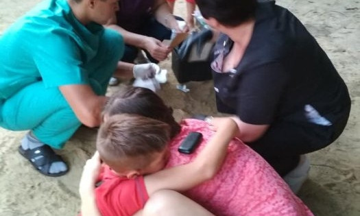 В  Николаеве ребенок травмировался на новенькой детской площадке