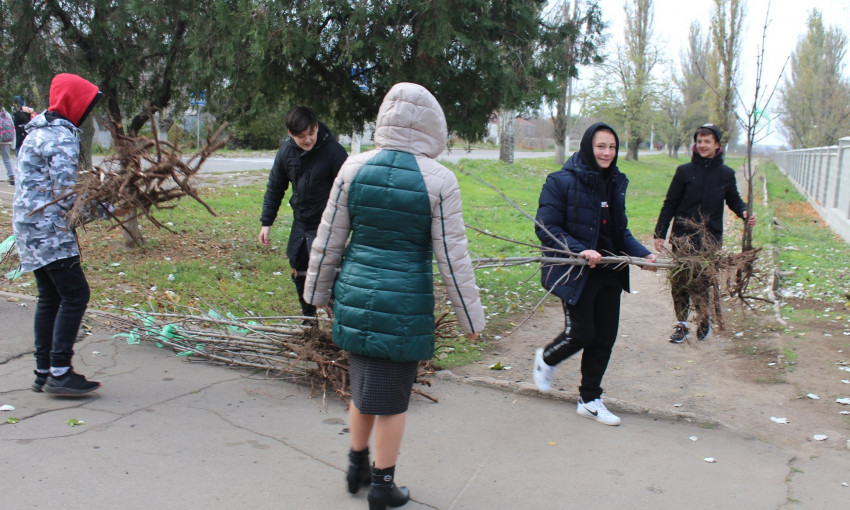 В Николаеве возле школы высадили аллею из каштанов в честь выпускников