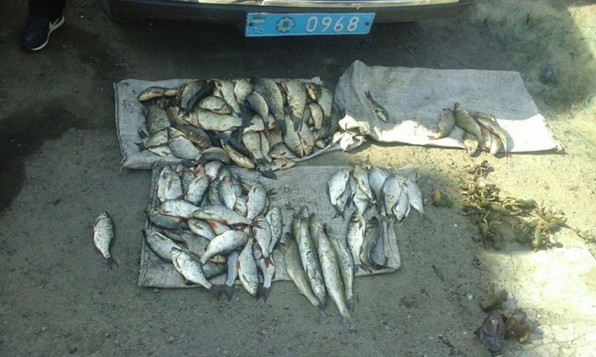 Во время нереста на Южном Буге задержаны два браконьера, выловившие рыбы почти на 12,5 тысяч гривен