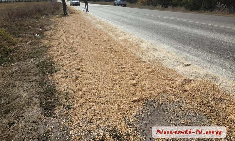 Под Николаевом зерновоз рассыпал более 10 тонн кукурузы