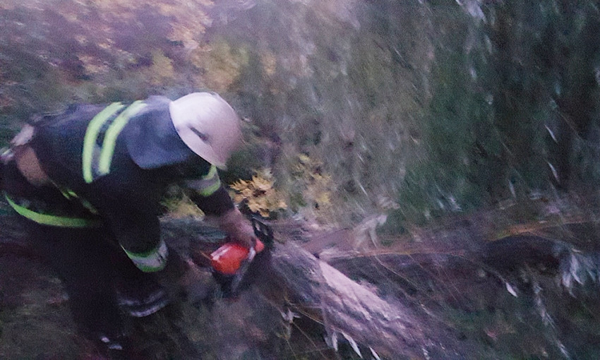 Из-за непогоды в Казанковском районе упало дерево и частично перекрыло трассу «Николаев-Кривой Рог-Днепр»