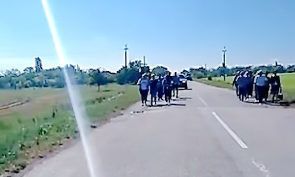 Жители села Михайловка против солнечных батарей на своих пастбищах и перекрыли трассу «Николаев-Березки»