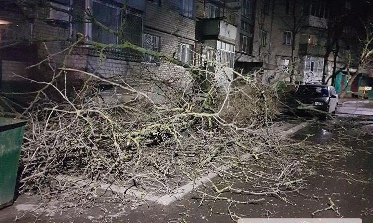 Поваленные деревья и бигборды: как в Николаеве прошла ветреная ночь
