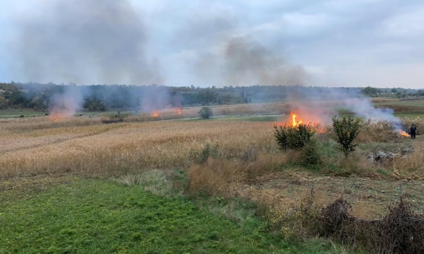 Неизвестные устроили пожар в Николаевской области