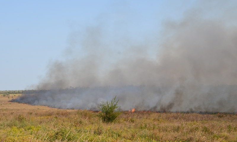 В Николаеве спасатели ликвидировали пожар камыша площадью 4 га