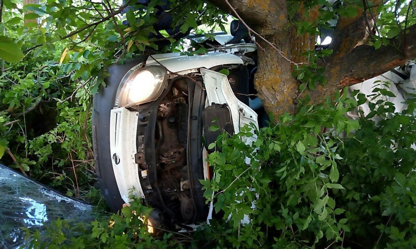 На трассе между Николаевом и Одессой автомобиль врезался в дерево – пять человек погибли