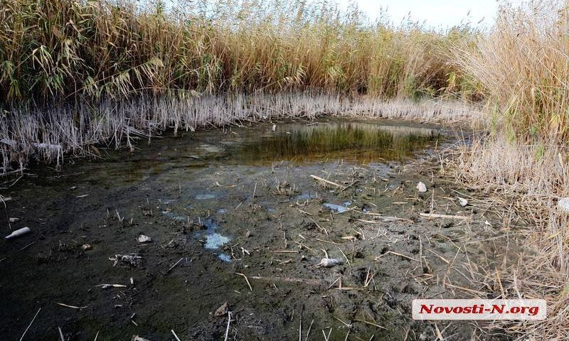 Николаевское соленое озеро находится под угрозой исчезновения