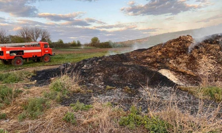 Количество пожаров в экосистемах Николаевской области выросло на 63,5%