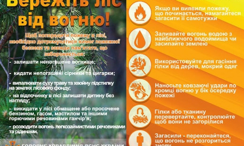 Спасатели Николаевщины призывают граждан соблюдать правила пожарной безопасности в лесных массивах