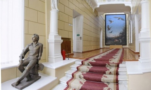 В Николаеве музей предлагает виртуальные посещения полюбившихся экспозиций