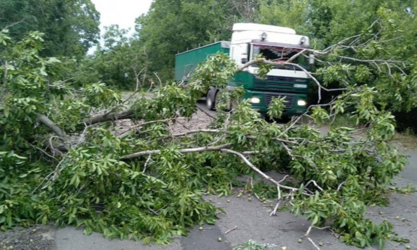 В Николаевской области непогода натворила много бед: повалены деревья, снесены кровли, заблокированы проезды и проходы