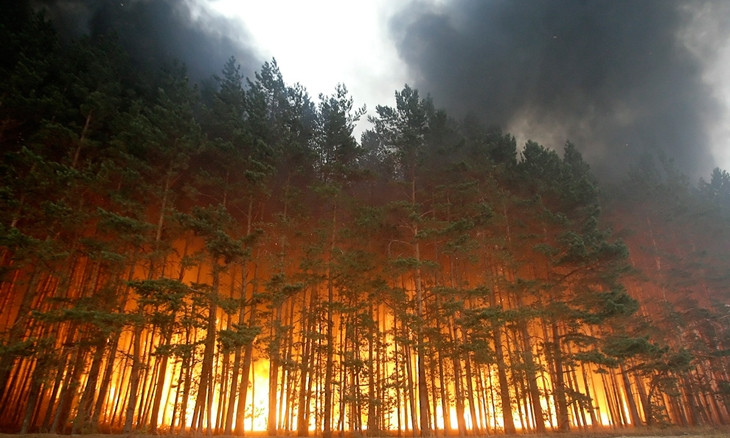 Николаевские леса охватил пожар