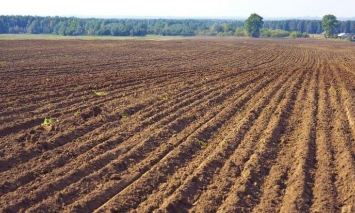 В Вознесенском районе фермерское хозяйство незаконно использовало 50 гектар земли