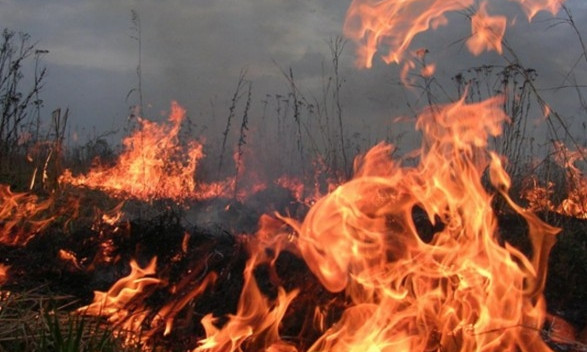 В Николаеве ожидают чрезвычайную пожарную опасность