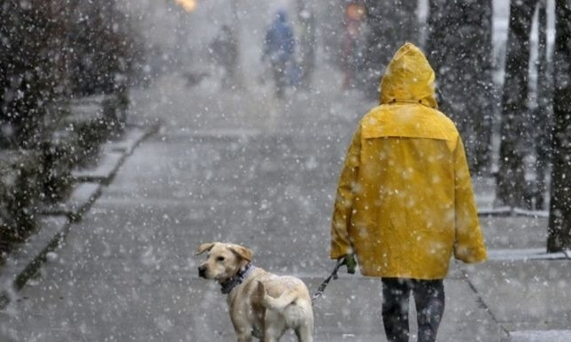 Дождь и мокрый снег: в праздничные дни в Николаевской области ожидается ухудшение погоды