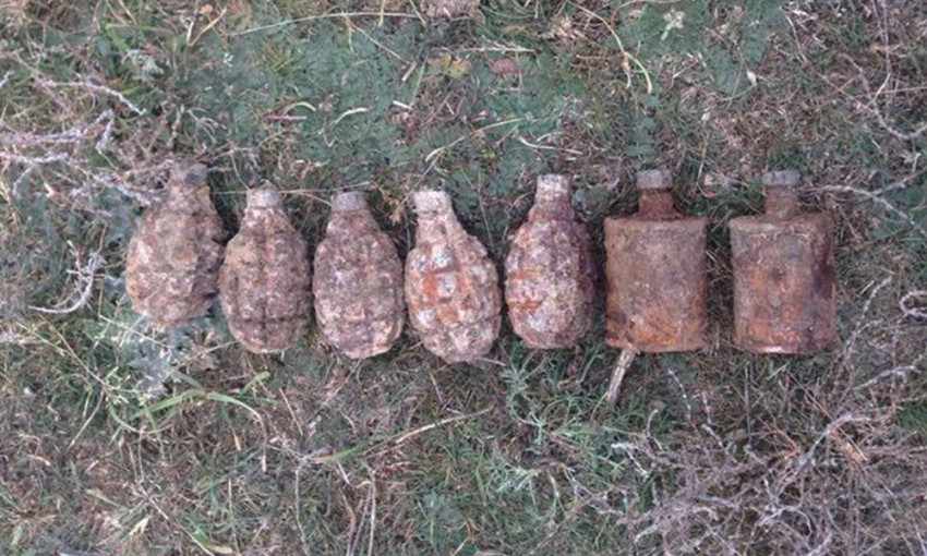 В Николаевской области мужчина нашел семь взрывоопасных предметов