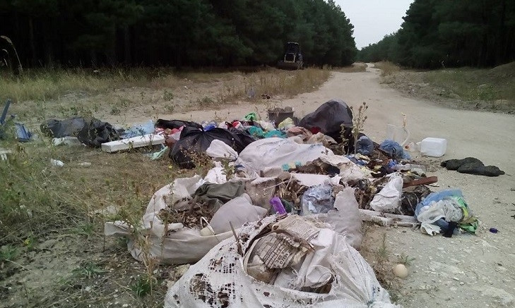 Активисты вернули мусор из Матвеевского леса законным владельцам