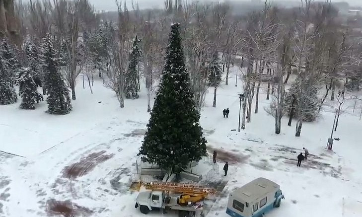 Николаевская елка заняла 18 место во всеукраинском рейтинге
