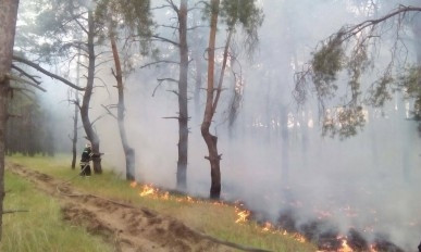 На территории Балабановского леса снова был пожар