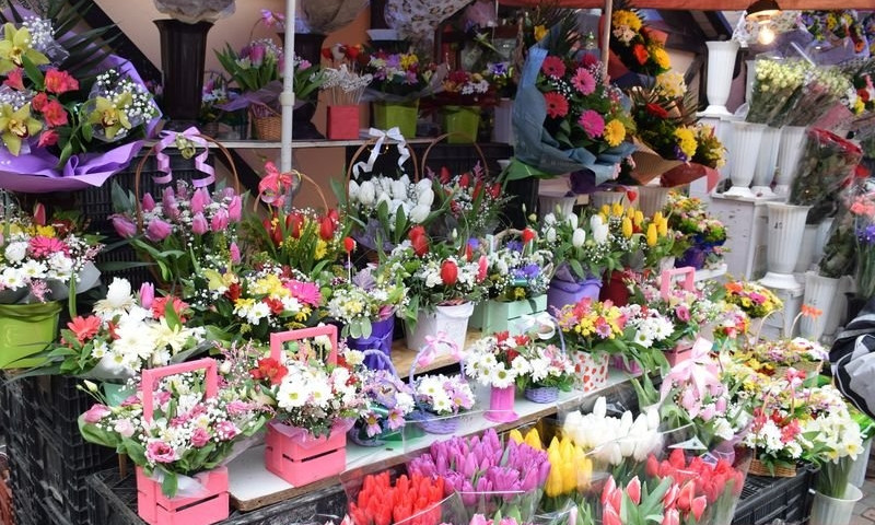 От 40 до 800 гривен: сколько стоят цветы в Николаеве в День влюбленных