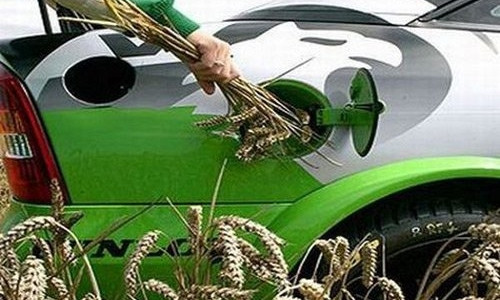 В Николаеве владельцы авто, использующие биотопливо, могут получить налоговую скидку