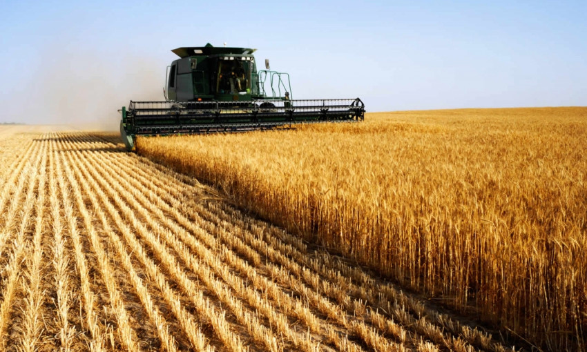 В Николаевской области стартовала жатва ранних зерновых, зернобобовых культур и рапса