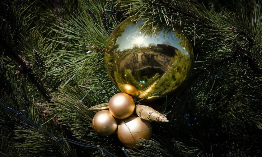 В Николаевском зоопарке открыли новогоднюю елку, а детки «потусили» с главным символом нового года 