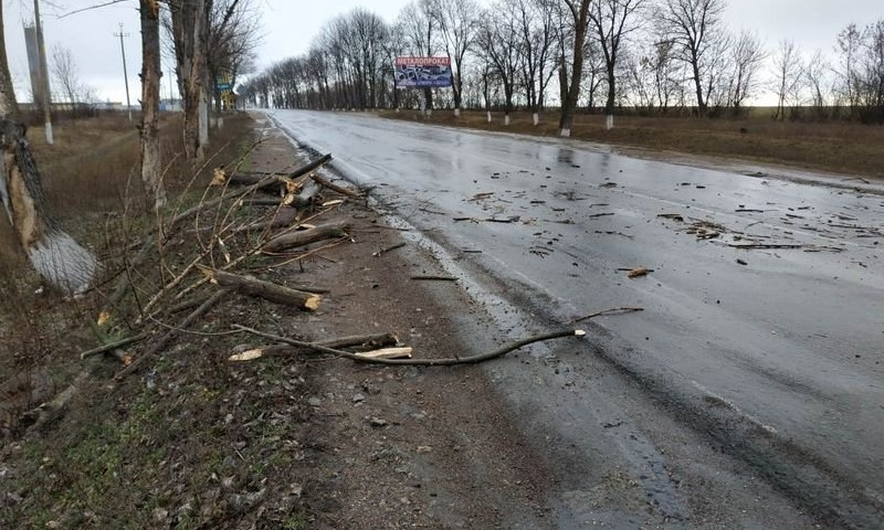 На Первомайск обрушился непогода: град, сильный дождь и шквальный ветер