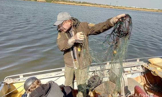В Николаевской области мужчина сетями ловил рыбу, во время нереста