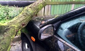 Упавшее из-за непогоды дерево повредило автомобиль