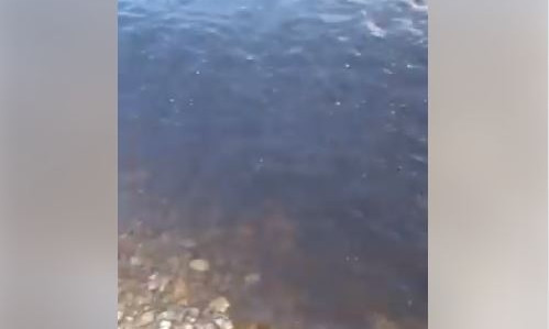 В реке Южный Буг вода коричневого цвета, - николаевцы обеспокоены