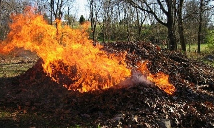 В Николаеве на площади 1000 кв м горели опавшие листья
