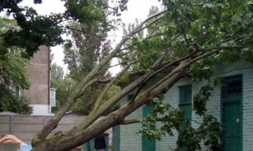 Последствия непогоды - в Николаевской области снесло крыши и повалило ветром деревья