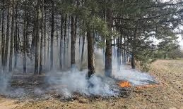 На Кинбурнской косе горел лес, первыми и вовремя на огонь отреагировали лесники 