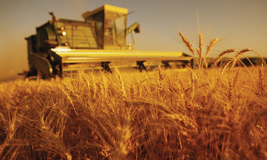 Земледельцы Николаевской области намолотили почти 330 тысяч тонн зерна нового урожая