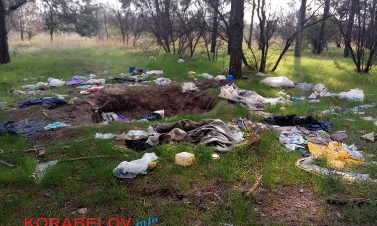 Жители Николаева завалили огромными горами мусора Балабановский лес