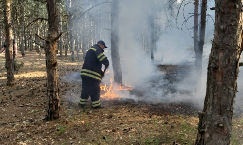 На Николаевщине неизвестные подожгли Балабановский лес