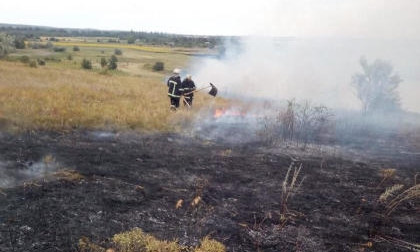 В Николаевской области за сутки выгорело более 30 гектар сухостоя