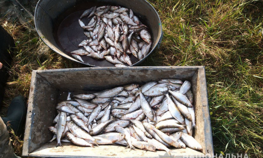 В Витовском районе задержали браконьера, который осуществлял незаконный лов рыбы, ущерб составил почти 40 тысяч гривен
