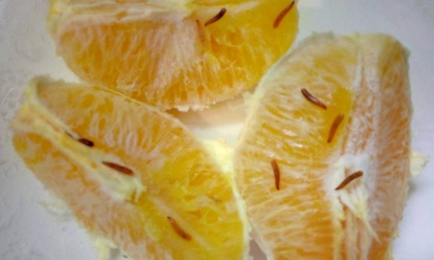 Жительница Николаева купила апельсины с живым сюрпризом