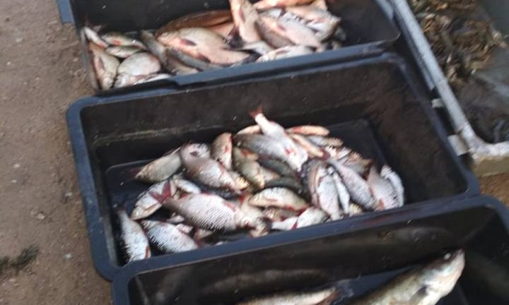 В акватории Софиевского водохранилища задержаны два браконьера с большим уловов рыбы и раков