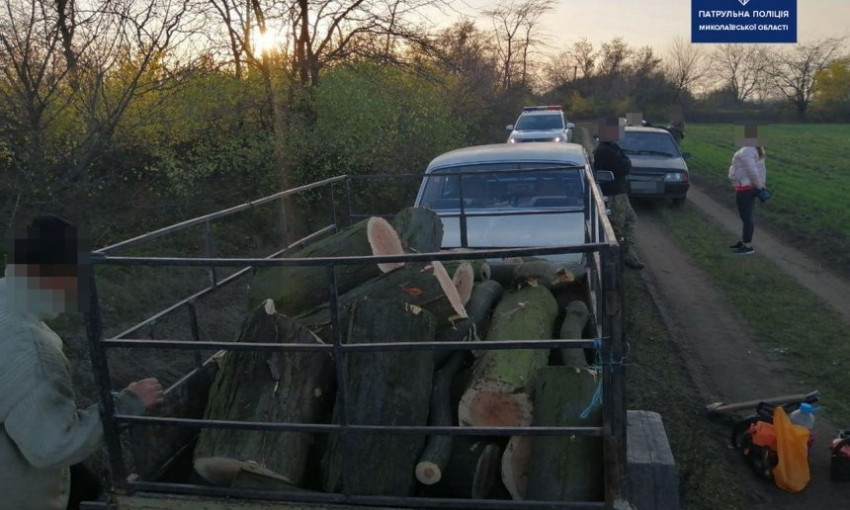 В Николаеве задержали "лесорубов",  которые спилили около десятка деревьев