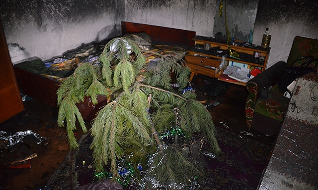 Новогодняя трагедия: в Николаеве на пожаре погибла молодая супружеская пара