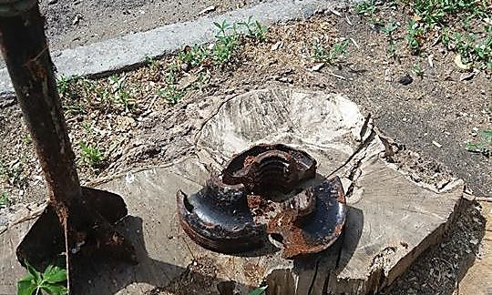 «Как она туда попала?» - внутри ствола дерева возле николаевского шахматного клуба нашли хвостовик от мины