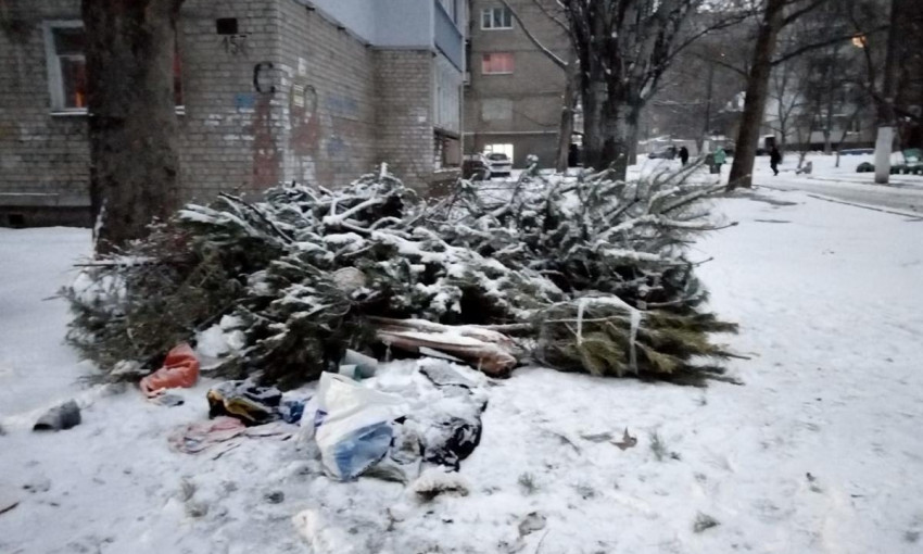Николаевцы избавляются от новогодних елок, выбрасывая их прямо на аллеи города