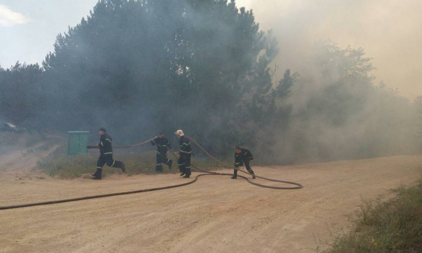 В Николаевской области горел лес