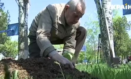 Тысячу деревьев планируется посадить в микрорайоне Николаева