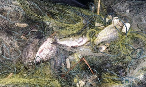 В Николаевской области задержали браконьера, который выловил из реки рыбу на 2,5 тыс. гривен