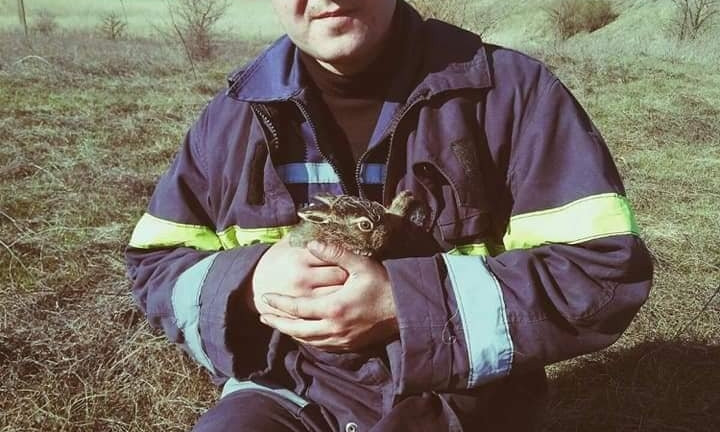 На Николаевщине из огня спасли зайчонка