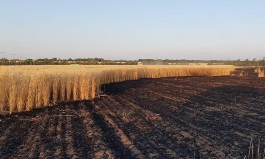 В Николаевской области горели поля с пшеницей